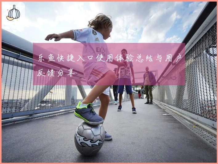 乐鱼快捷入口使用体验总结与用户反馈分享