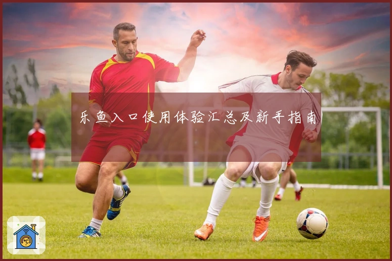 乐鱼入口使用体验汇总及新手指南