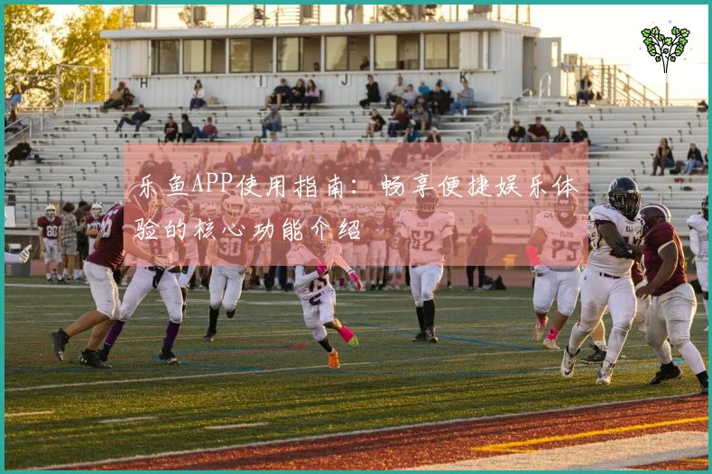 乐鱼APP使用指南:畅享便捷娱乐体验的核心功能介绍