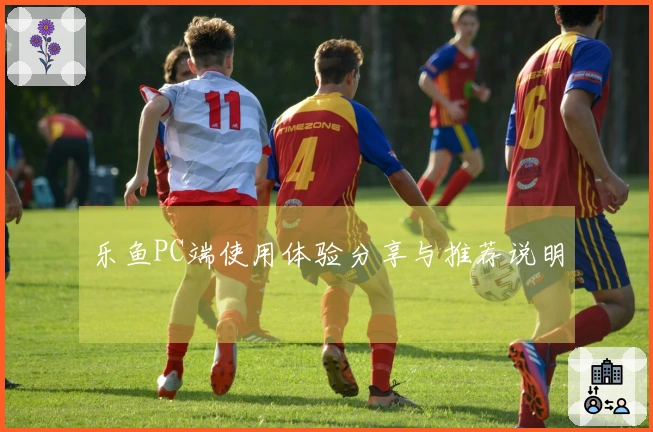 乐鱼PC端使用体验分享与推荐说明