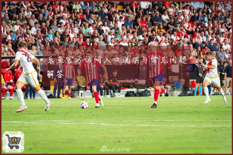 乐鱼官方访问入口说明与常见问题解答