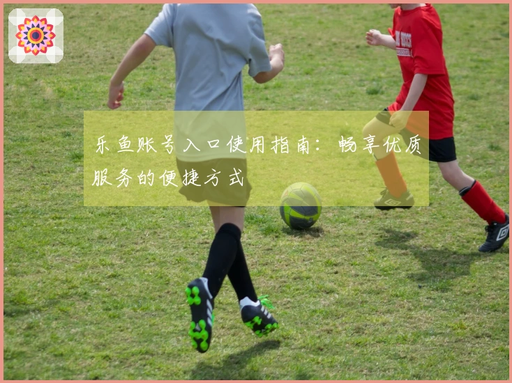 乐鱼账号入口使用指南：畅享优质服务的便捷方式