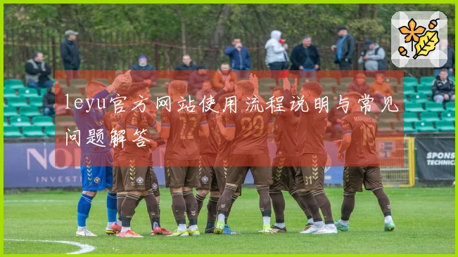 leyu官方网站使用流程说明与常见问题解答