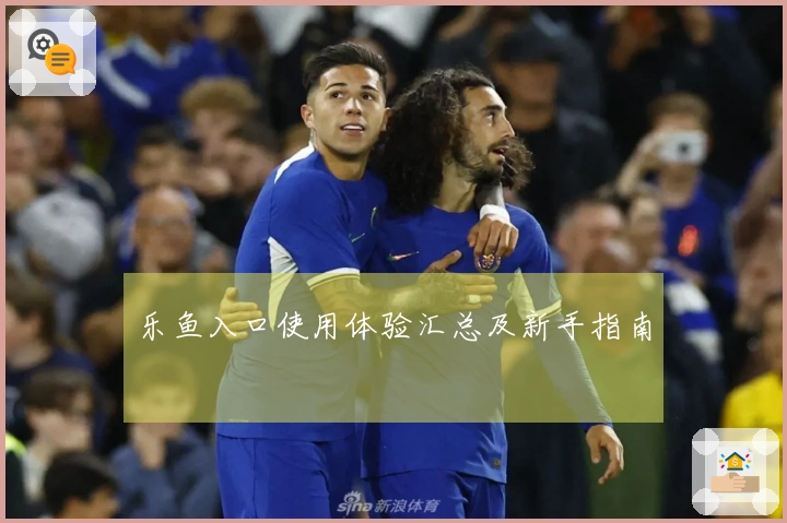 乐鱼入口使用体验汇总及新手指南