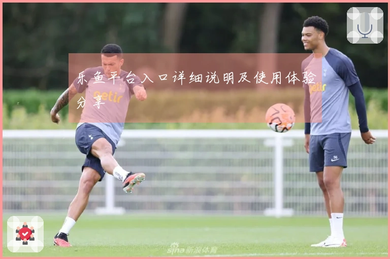 乐鱼平台入口详细说明及使用体验分享