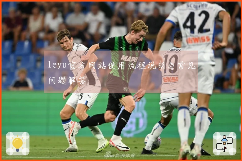 leyu官方网站使用流程说明与常见问题解答